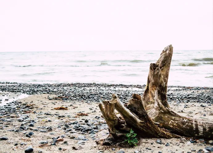 Promenada Przyjaźni w Mielnie